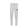 Pantalon-gris pantalon de basketball