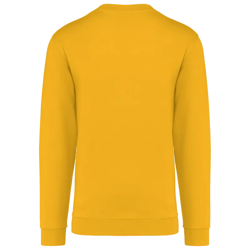 Sweat BIG - Saint Joseph Strasbourg Sweat BIG - Saint Joseph Strasbourg
