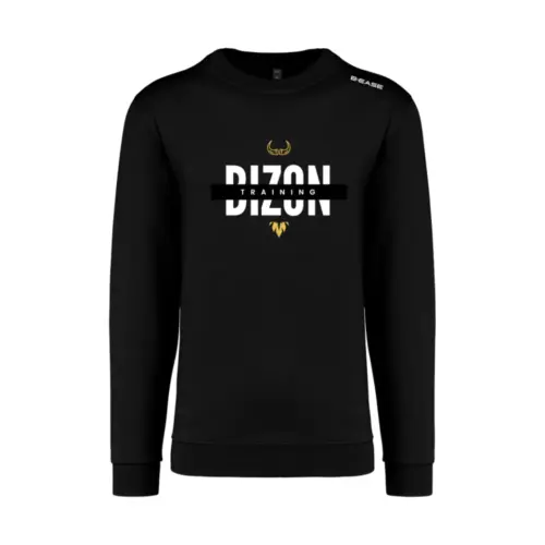 Sweat Bizon training Sweat Bizon training