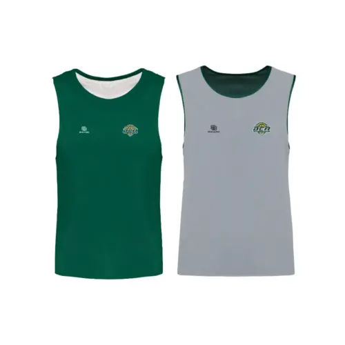 Chasuble réversible BC ARBRESLOIS