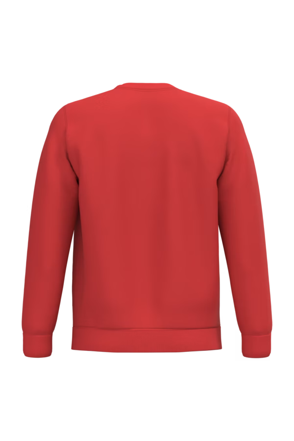 PS K474 B RED
