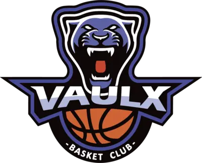 VAULX BASKET