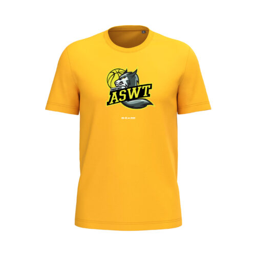 T-shirt AS Wattignies Templemars - BIG - Jaune