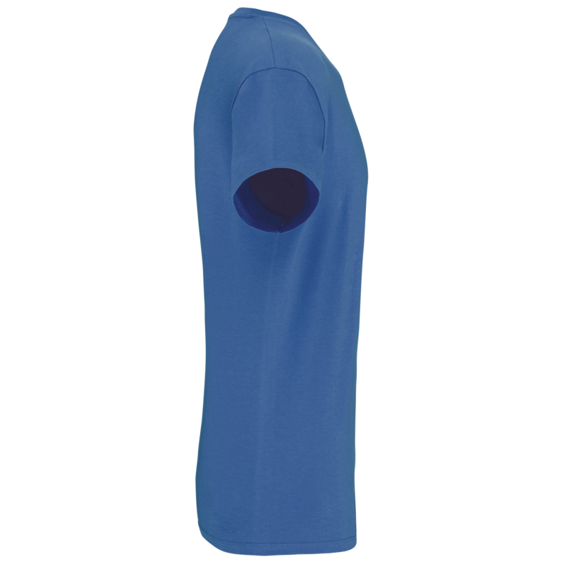T-shirt Bio150 IC col V homme