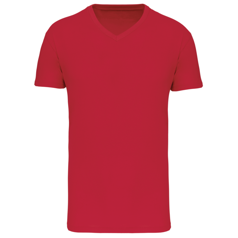 T-shirt Bio150 IC col V homme