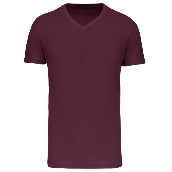 T-shirt Bio150 IC col V homme