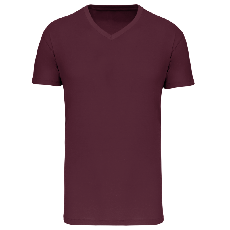 T-shirt Bio150 IC col V homme