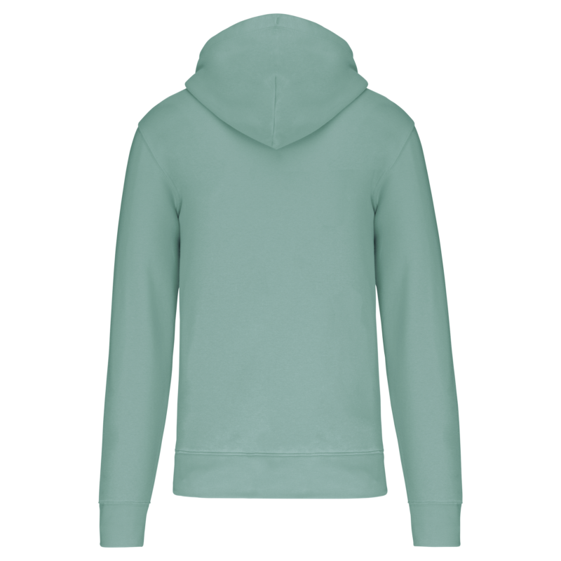 Sage BACK Sweat-shirt écoresponsable zippé à capuche homme