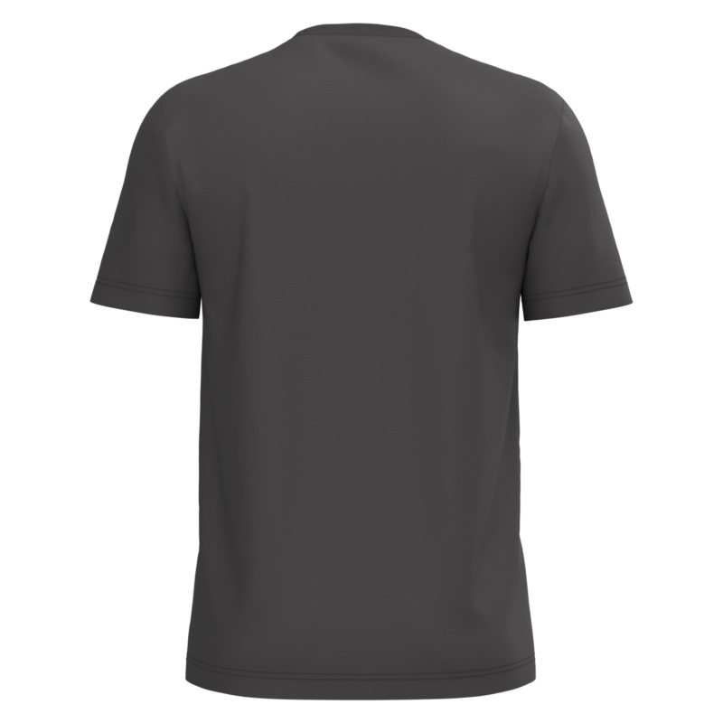 T-shirt coton homme gris foncé, vue de dos