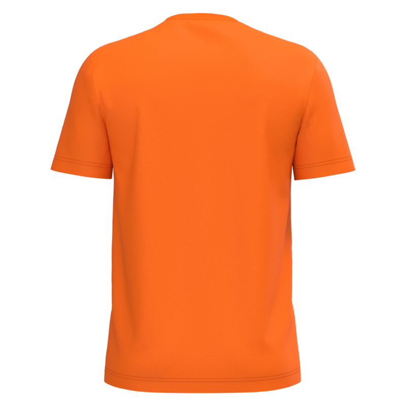 T-shirt coton homme orange, vue de dos