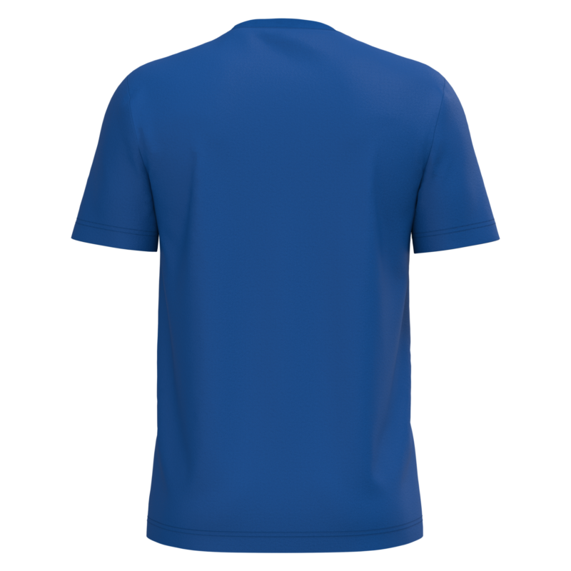 T-shirt coton homme bleu roi, vue de dos