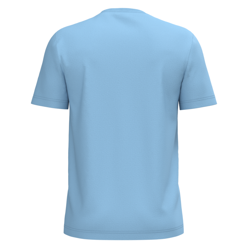 T-shirt coton homme bleu ciel, vue de dos